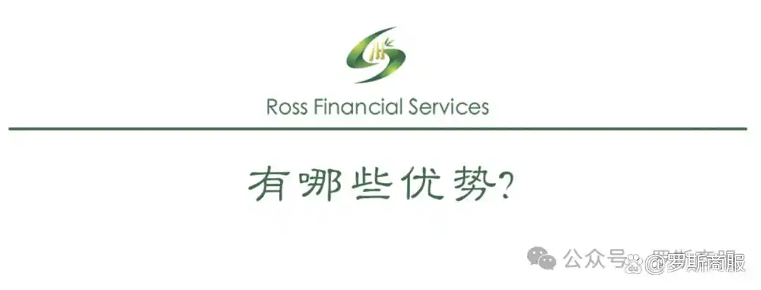 车抵贷 风险(车抵贷风险控制)？ (https://www.tyhrongzi.com/) 知识问答 第6张