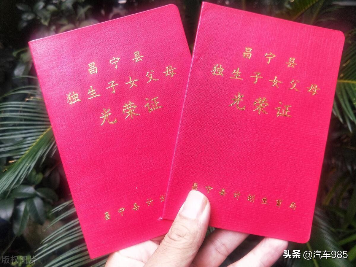 车抵贷需要押绿本吗(抵押贷车需要绿本复印件吗)？ (https://www.tyhrongzi.com/) 知识问答 第5张