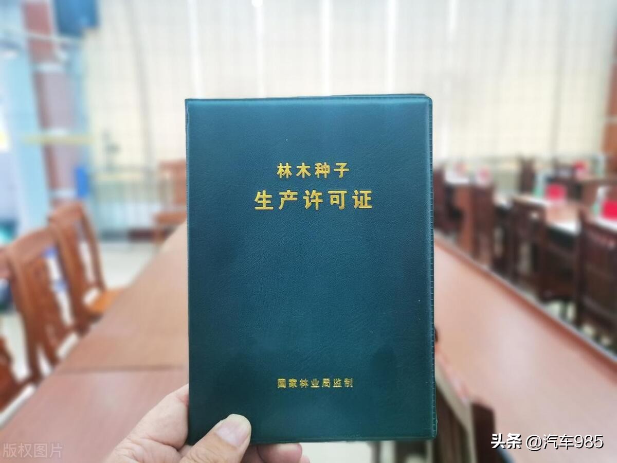 车抵贷需要押绿本吗(抵押贷车需要绿本复印件吗)？ (https://www.tyhrongzi.com/) 知识问答 第7张