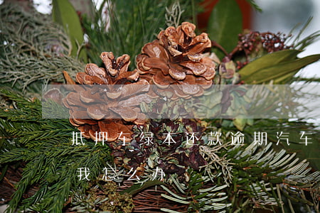 车抵押贷款没绿本(车子抵押没有绿本)？ (https://www.tyhrongzi.com/) 知识问答 第2张