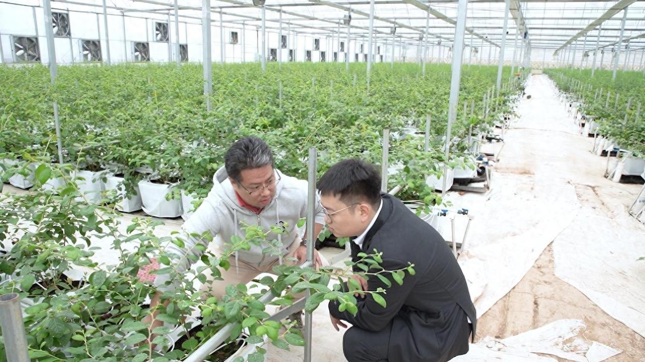 浙商车抵贷(浙商车贷提前还怎么算)？ (https://www.tyhrongzi.com/) 知识问答 第1张