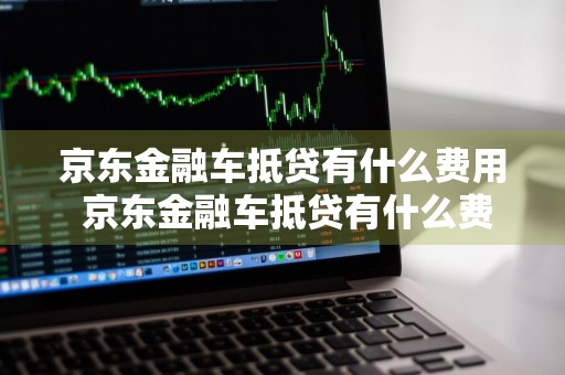 微贷网车抵贷(微贷网车抵贷上征信吗)？ (https://www.tyhrongzi.com/) 知识问答 第1张