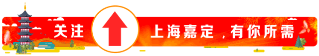 上海嘉定车辆抵押贷款(上海瑞立佳业房地产)？ (https://www.tyhrongzi.com/) 知识问答 第1张