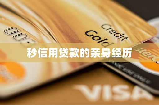 微贷网车抵押贷款(秒信用贷款审核速度感受)？ (https://www.tyhrongzi.com/) 知识问答 第1张