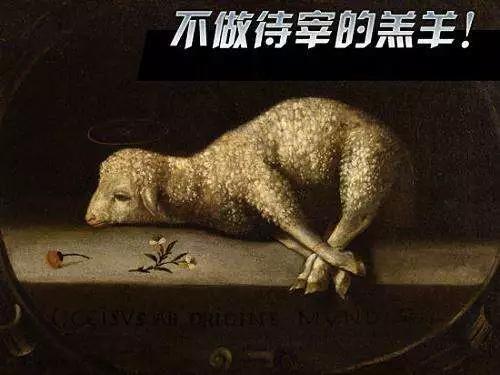 车抵贷推销话术(电销199模式揭秘)？ (https://www.tyhrongzi.com/) 知识问答 第5张