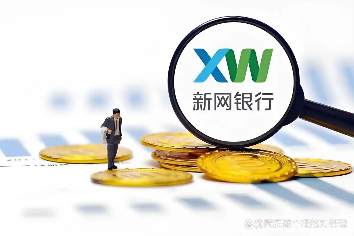 有车就贷汽车抵押贷款(新网银行车抵贷申请流程)？ (https://www.tyhrongzi.com/) 知识问答 第1张